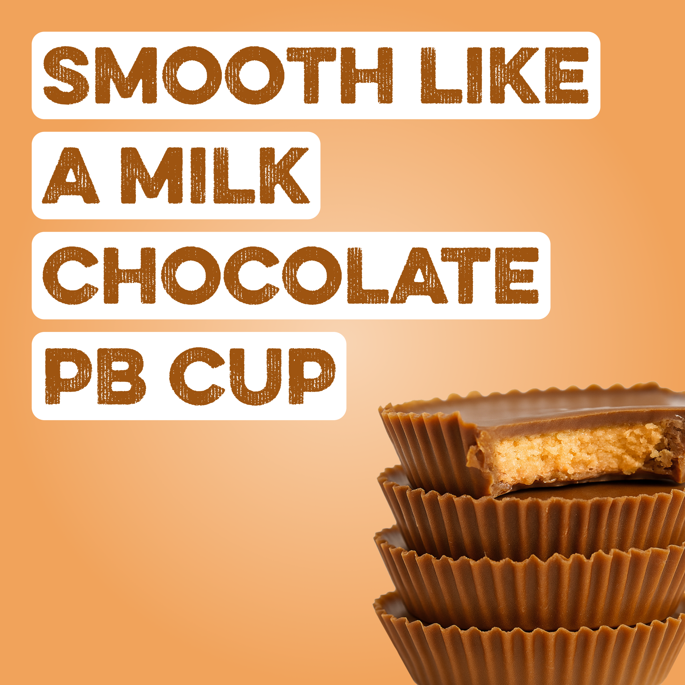 Protein Powder: Chocolate Peanut Butter (10 Serving Bag)
